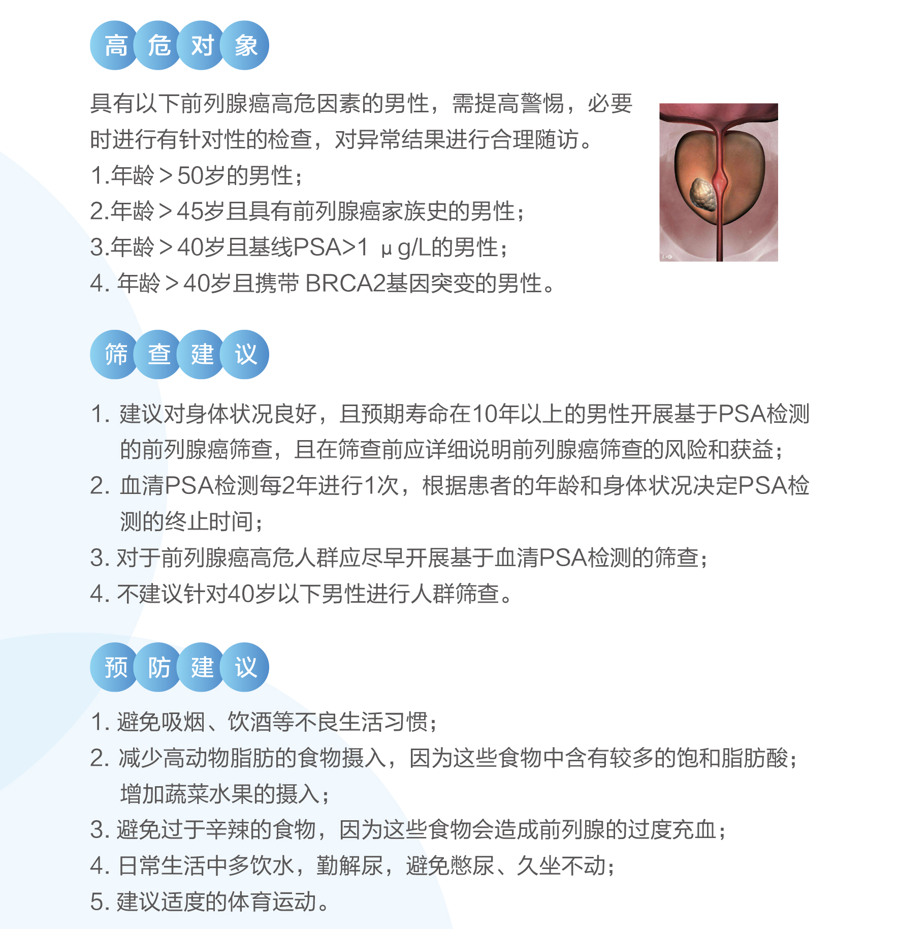 前列腺癌1.jpg