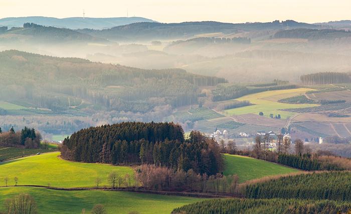 landscape-3908270_960_720.jpg