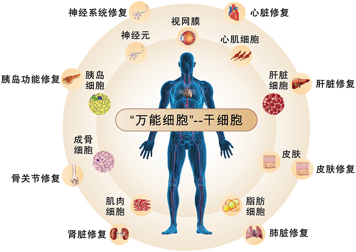 资源 1.png