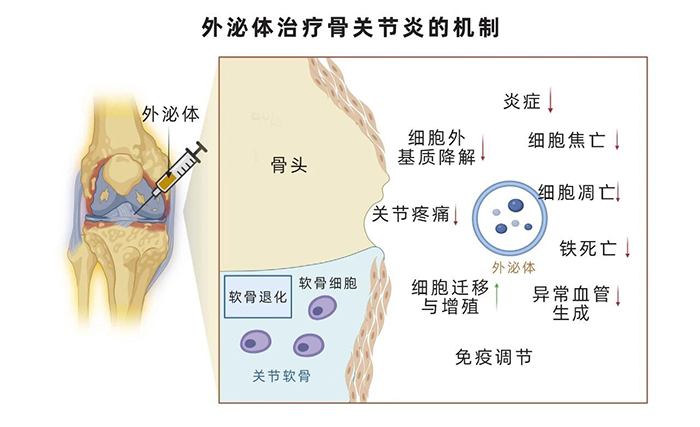 1769668016851303.jpg 微信图片_20260128172009_180_52.jpg