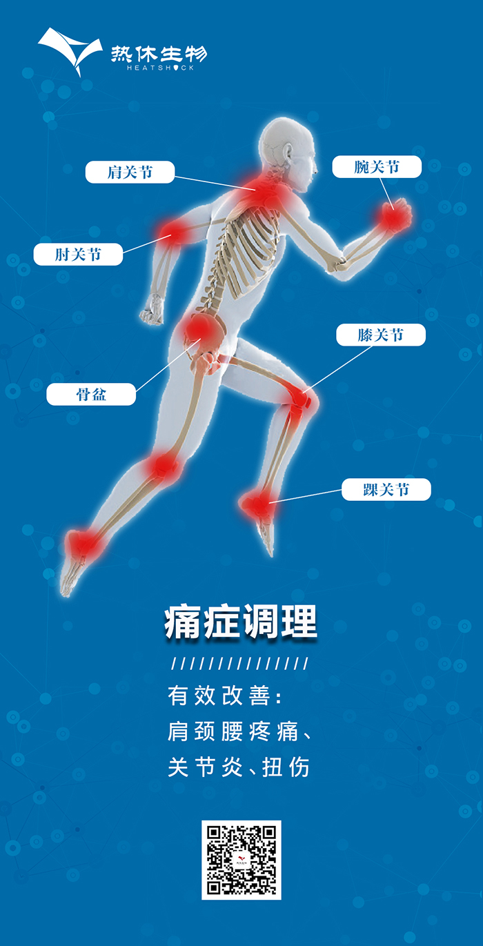 1769668169128842.jpg 关节炎(热休生物).jpg