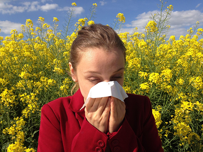 cenczi-allergy-1738191_1920.jpg
